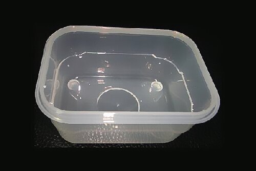 Injection mold