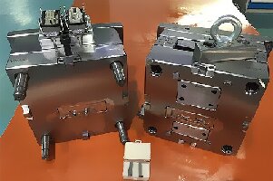Mould picture Mould picture